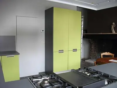 a kitchen with a stove and a green cabinet at Geldmunt Apartment in Ghent