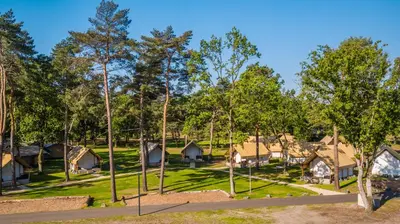 arial view of a resort with trees and cottages at EuroParcs Zilverstrand in Mol