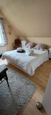a bedroom with a large white bed and a rug at didi logement in Westerlo