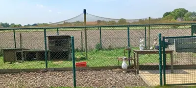 a chain link fence in front of a field at didi logement in Westerlo