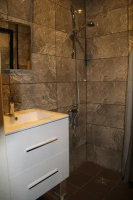 a bathroom with a sink and a shower at Appartement Ledeberg in Ghent