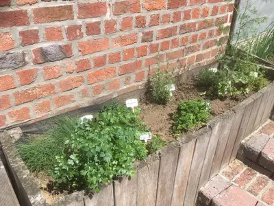 a garden with plants in a brick wall at 't Huizeke in Asse
