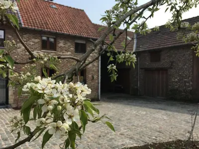 a tree with white flowers in front of a house at Constantinus in Herzele
