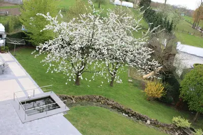 an aerial view of a tree with white flowers at Hotel Gasthof Kapelhof in Erpe-Mere