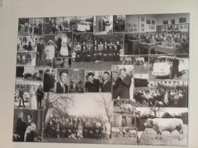 a collage of pictures of people on a wall at Hotel Klein Nederlo in Vlezenbeek