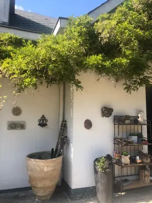 a plant in a large pot next to a wall at Villa Plagniau in Rixensart