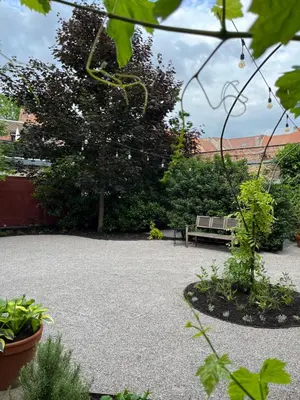 a park with a bench and trees and plants at Studio 17 in Ghent