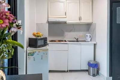 a small kitchen with white cabinets and a microwave at Albert gare du Midi 31 in Brussels