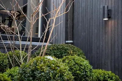 a group of bushes in front of a building at B&B A Côté du Cinquantenaire in Brussels