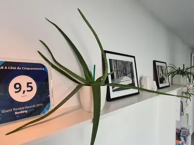a plant sitting on top of a shelf at B&B A Côté du Cinquantenaire in Brussels