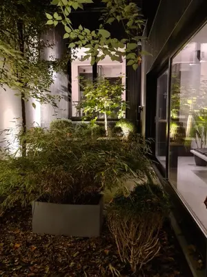 a courtyard with plants in a building at B&B A Côté du Cinquantenaire in Brussels