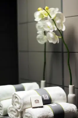 a group of towels and a flower in a mirror at BEST WESTERN Hotel Brussels South in Ruisbroek