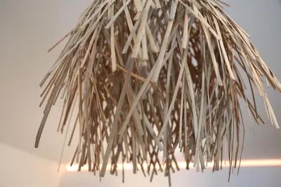 a close up of a piece of grass at AuxiliumWellness Get Back to Serenity in Grobbendonk