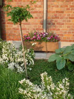 a garden with flowers in front of a brick wall at B&B Euverbraeke in Beveren