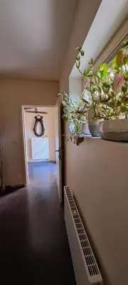 an empty hallway with plants on the wall at B&B Euverbraeke in Beveren