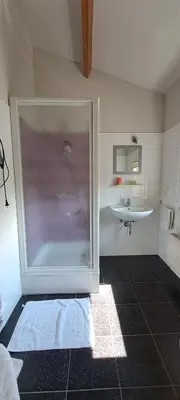 a bathroom with a shower and a sink at B&B Euverbraeke in Beveren
