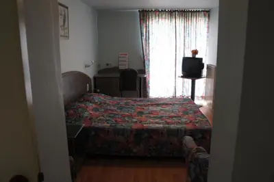 a bedroom with a bed and a television and a window at Alsput Hotel in Halle
