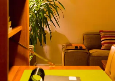 a living room with a couch and a plant at A Place Antwerp - Boutique Suites & Flats - Vrijdagmarkt 1 in Antwerp