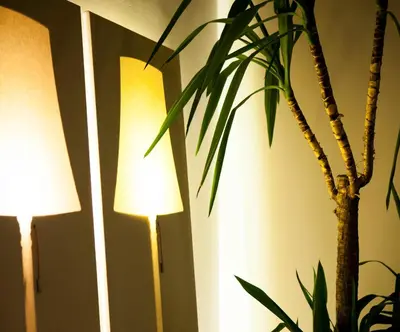 two lamps next to a plant in a room at A Place Antwerp - Boutique Suites & Flats - Vrijdagmarkt 1 in Antwerp