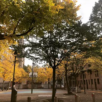a tree on a city street with a clock tower at Hotel Urban Dreams in Antwerp