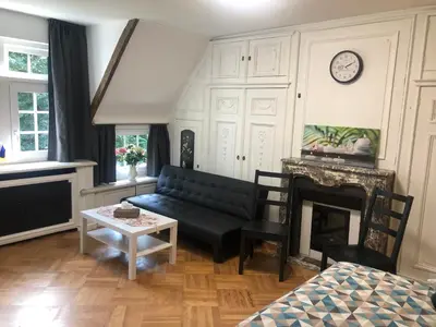 a living room with a couch and a fireplace at Rose House B&B in Ghent