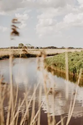 a reflection of a woman in the water at Huisje Nummer Tien in Sint-Laureins