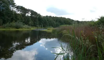 a river with a reflection of the sky in the water at B&B Ginnekenshoeve in Beerse