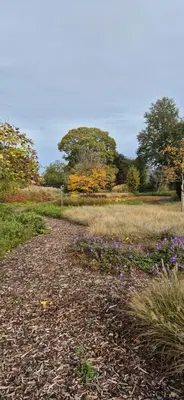a path in a field with flowers and trees at Prachtig herenhuis uit 1925 in Nijlen