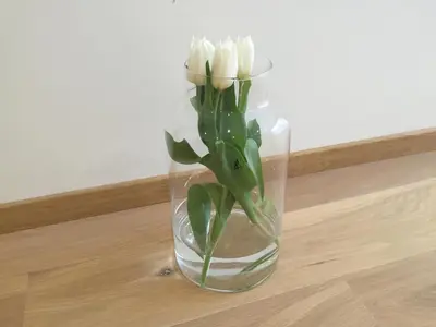 a glass vase with white flowers in it at Antwerp Town House Accommodations in Antwerp