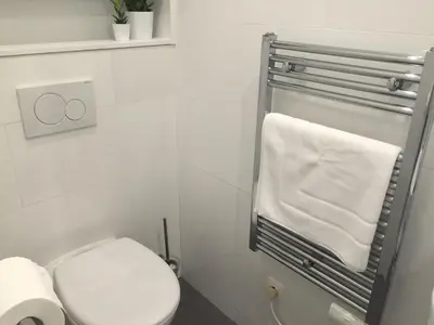 a bathroom with a white toilet and a towel rack at Antwerp Town House Accommodations in Antwerp