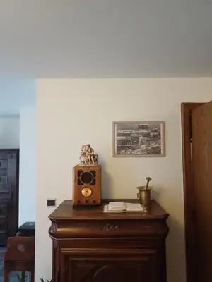 a wooden table with a radio on top of it at Guesthouse La maison de Fille in Diest