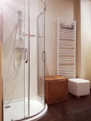 a bathroom with a shower and a toilet in it at Brugmann Loft Apartment in Brussels
