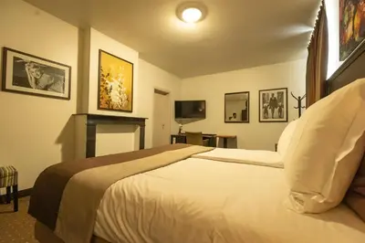 a hotel room with a bed and a television at Hotel Malon in Leuven