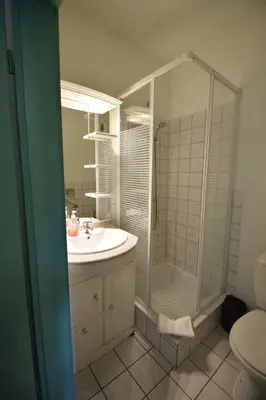 a bathroom with a shower and a sink and a toilet at Budget Flats Brussels in Brussels