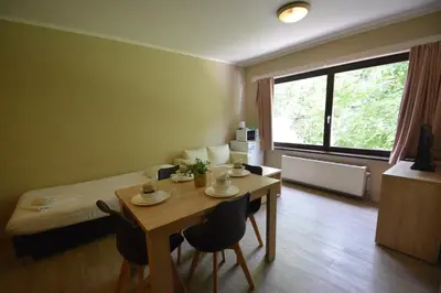 a room with a table and a bed and a table and chairs at Budget Flats Brussels in Brussels