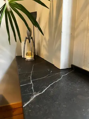 a black marble table with a potted plant on it at La bellétage by Agelandkaai be with Free Parking in Ghent