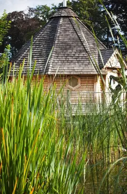 a house with a roof with tall grass in front of it at Hotel Thermen Dilbeek in Dilbeek