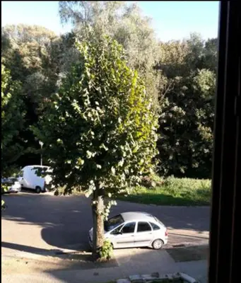a white car parked in a parking lot next to a tree at Chez Mimi - chambre vue parc in Brussels