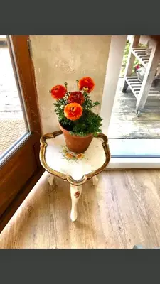 a flower pot sitting on a chair in front of a window at Foodiejive in Antwerp