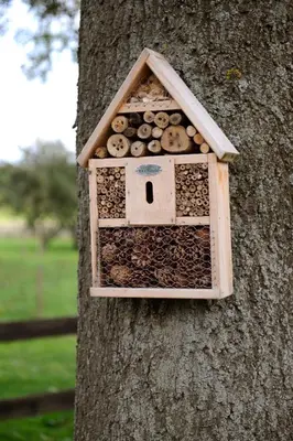 a bird house on the side of a tree at Logies De Hessie in Turnhout