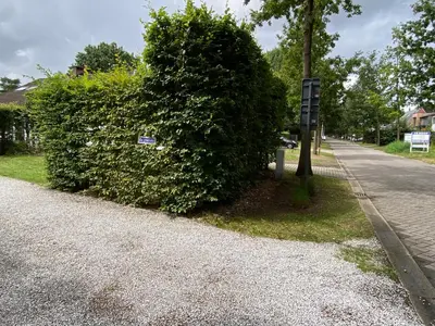 a bush with a sign on it next to a street at de graslelie in Schoten