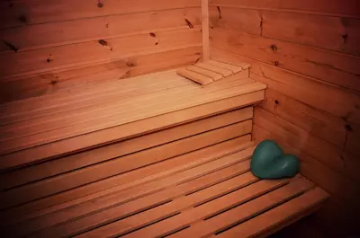 a wooden sauna with a green heart in it at B&B Maarle in Poppel