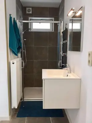 a bathroom with a white sink and a shower at Studio Liepoo in Ghent