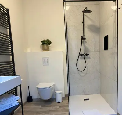 a bathroom with a shower and a toilet at RS10 B&B Turnhout in Turnhout