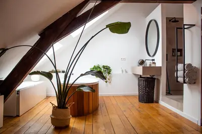 a room with a potted plant on the floor at PAKHUIS in Ghent