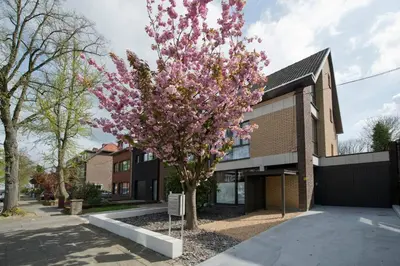 a magnolia tree in front of a building at Akker duplex in Mortsel