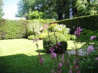 a garden with bushes and flowers in a yard at B&B Salve in Brussels