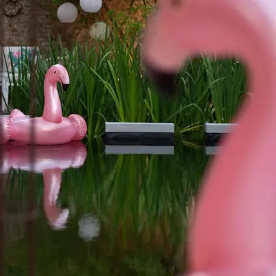 a pink swan sitting on top of a body of water at B&B La Corderie in Hamme