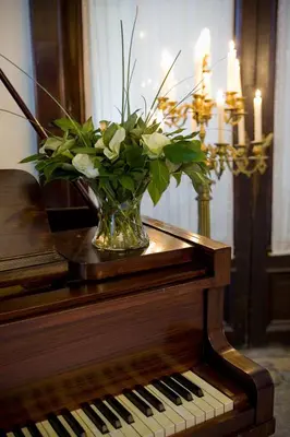 a vase of flowers sitting on top of a piano at Charme Hotel Hancelot in Ghent