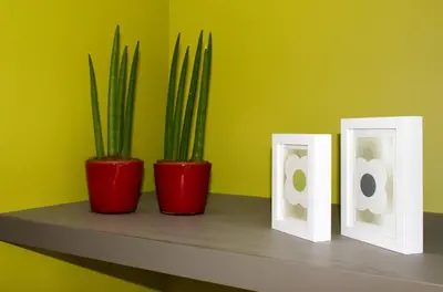 a shelf with two potted plants and two white frames at Mon Dieu in Scherpenheuvel-Zichem